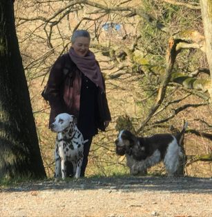 Caprilli Dalmatians - Millviews Dalmatiner