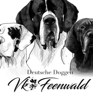 Claudia Rücker-Brillo