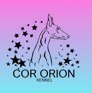 Cor Orion 