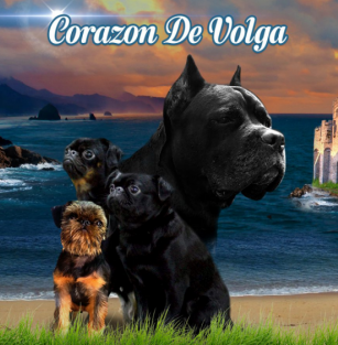 Corazon de Volga