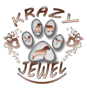CRAZY JEWEL