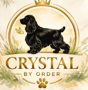 Crystal by Order 