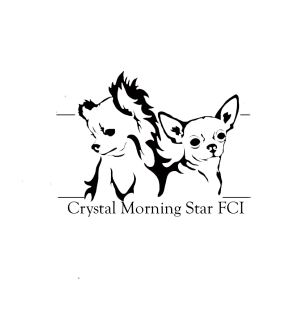 Crystal Morning Star FCI