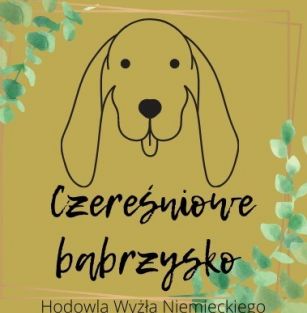 Czereśniowe Babrzysko FCI