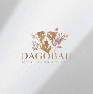 Dagobah FCI 