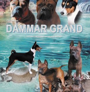 DAMMAR GRAND 