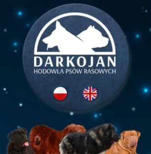 Darkojan FCI