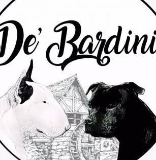 De' Bardini