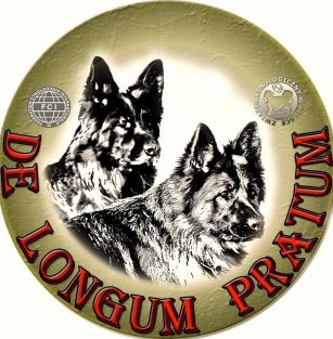 De Longum Pratum
