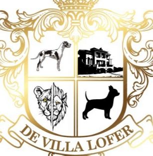 De Villa Lofer