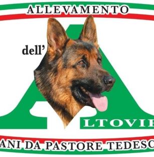 Dell'Altovir 