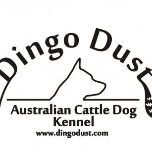 Dingo Dust