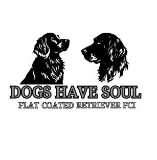 DOGS HAVE SOUL