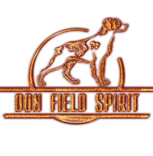 DON FIELD SPIRIT