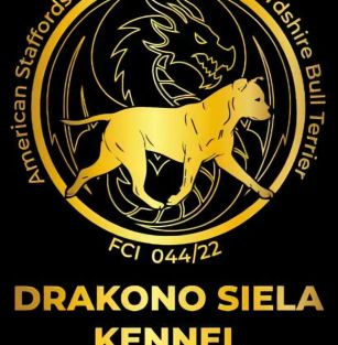 Drakono siela kennel