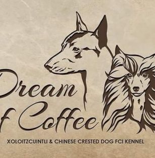 Dream Of Coffee FCI