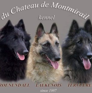 du Chateau de Montmirail