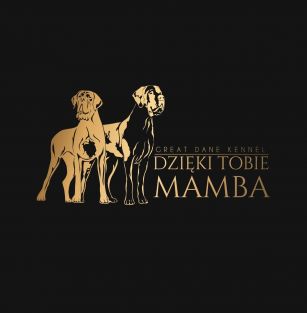 Dzięki Tobie Mamba