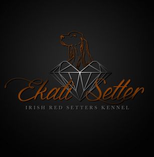 Ekati Setter