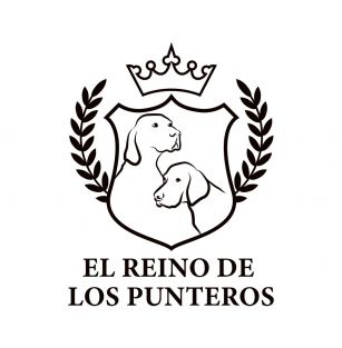 EL REINO DE LOS PUNTEROS