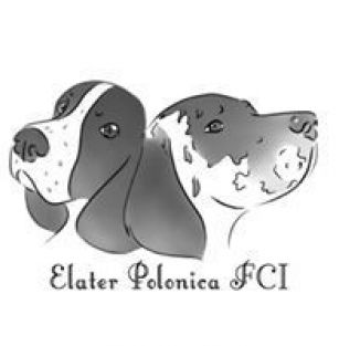 Elater Polonica FCI