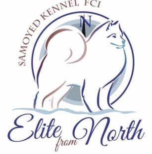 Elite from North Samoyeds Kennel FCI