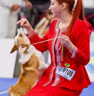 Elmas Kara Denis Asgard