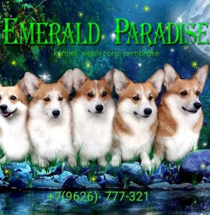 Emerald Paradise