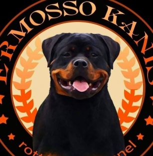 Ermosso Kanis 