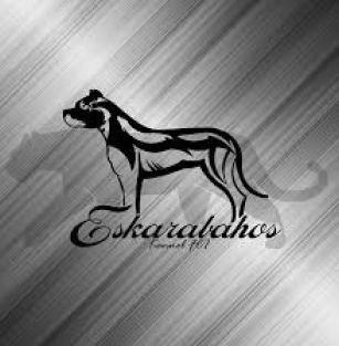Eskarabahos
