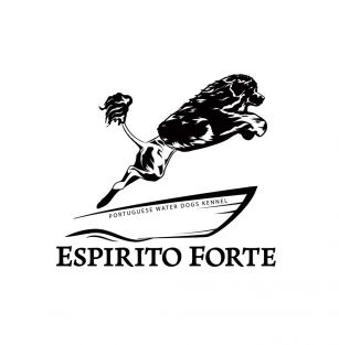 Espirito Forte