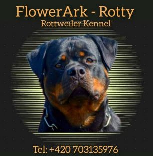 FlowerArk-Rotty 