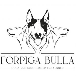 Forpiga Bulla FCI