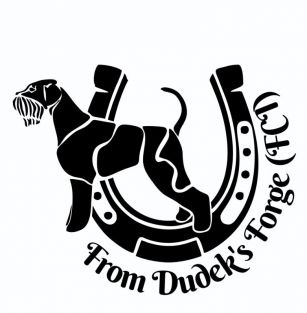 from Dudek's Forge (FCI)