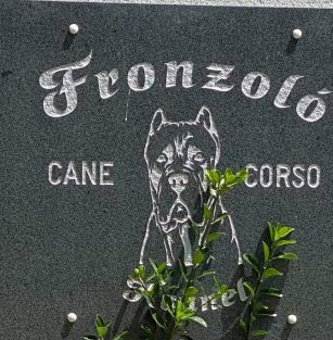 FRONZOLO