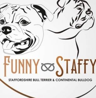 Funny-Staffy (FCI)