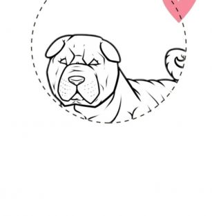 Gabriela la vida loca