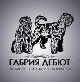 Габрия - Дебют