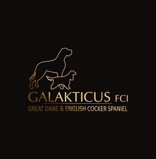 Galakticus