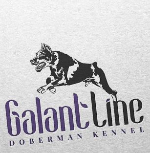 Galant Line