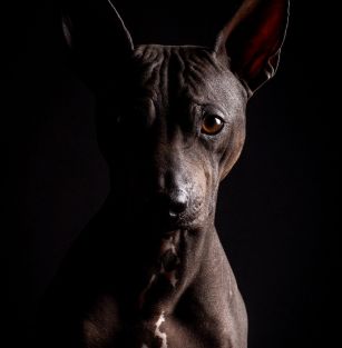 Гармония в Сердце