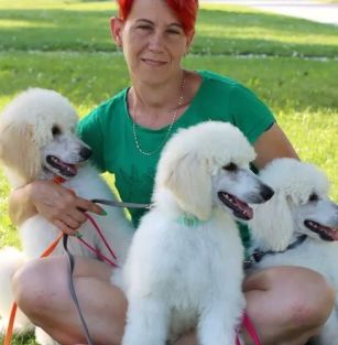 Giant Miracles Poodle Kennel