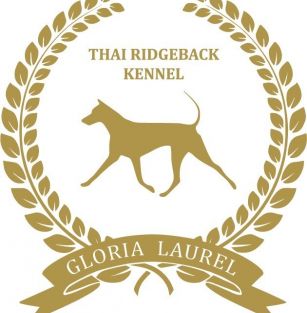 Gloria Laurel
