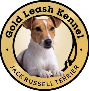 Gold Leash Kennel