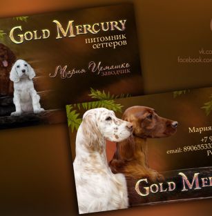 Gold Mercury 