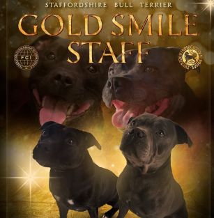 Gold smile staff