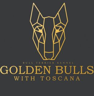 Golden Bulls with Toscana 