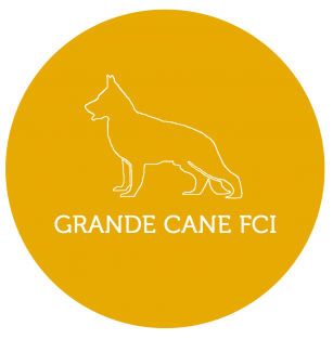 GRANDE CANE FCI