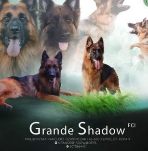 Grande Shadow (FCI)