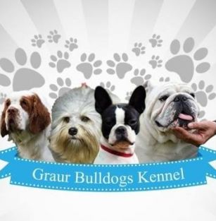 Graur Bulldogs Off